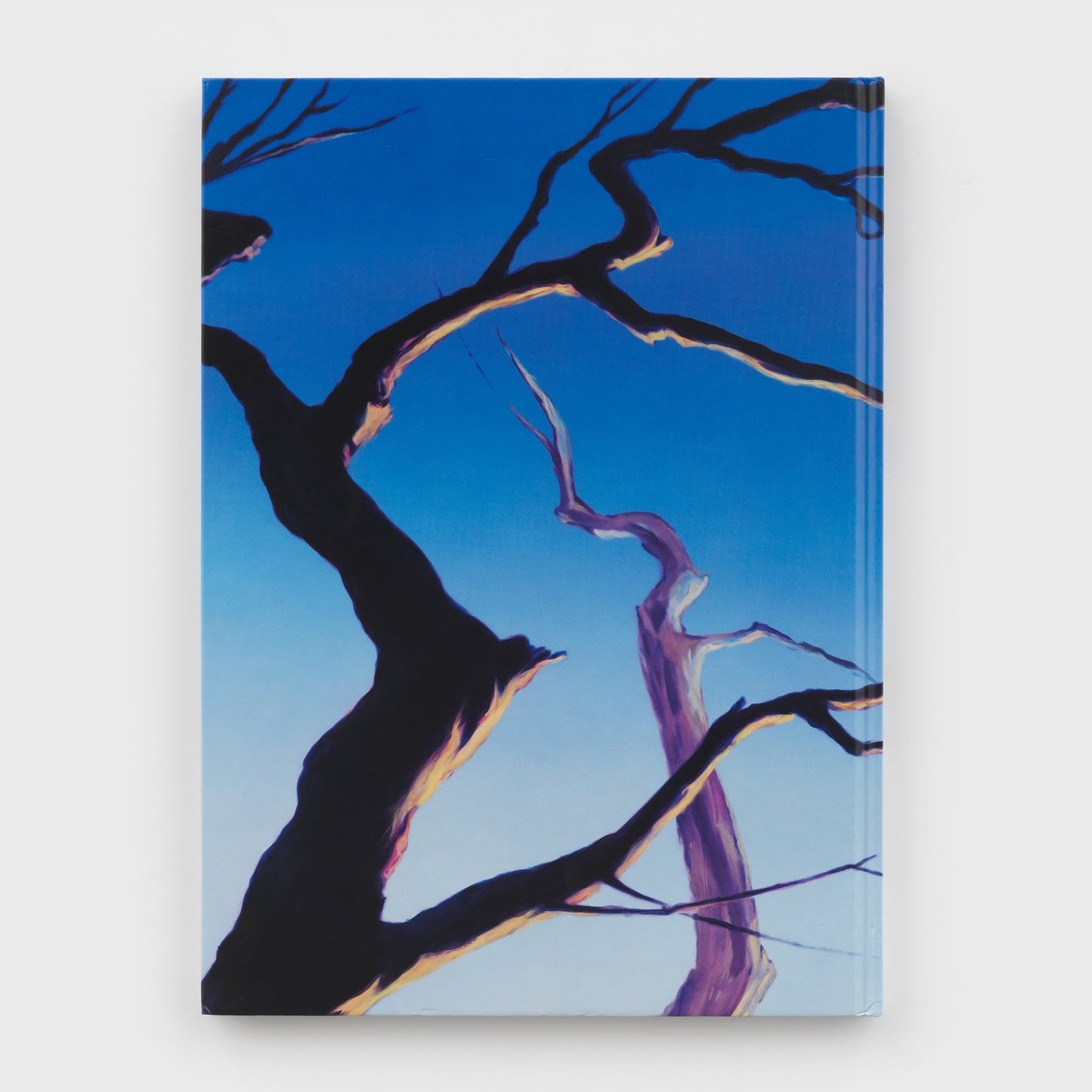 Dan Colen: Mailorder, Mother, Purgatory,