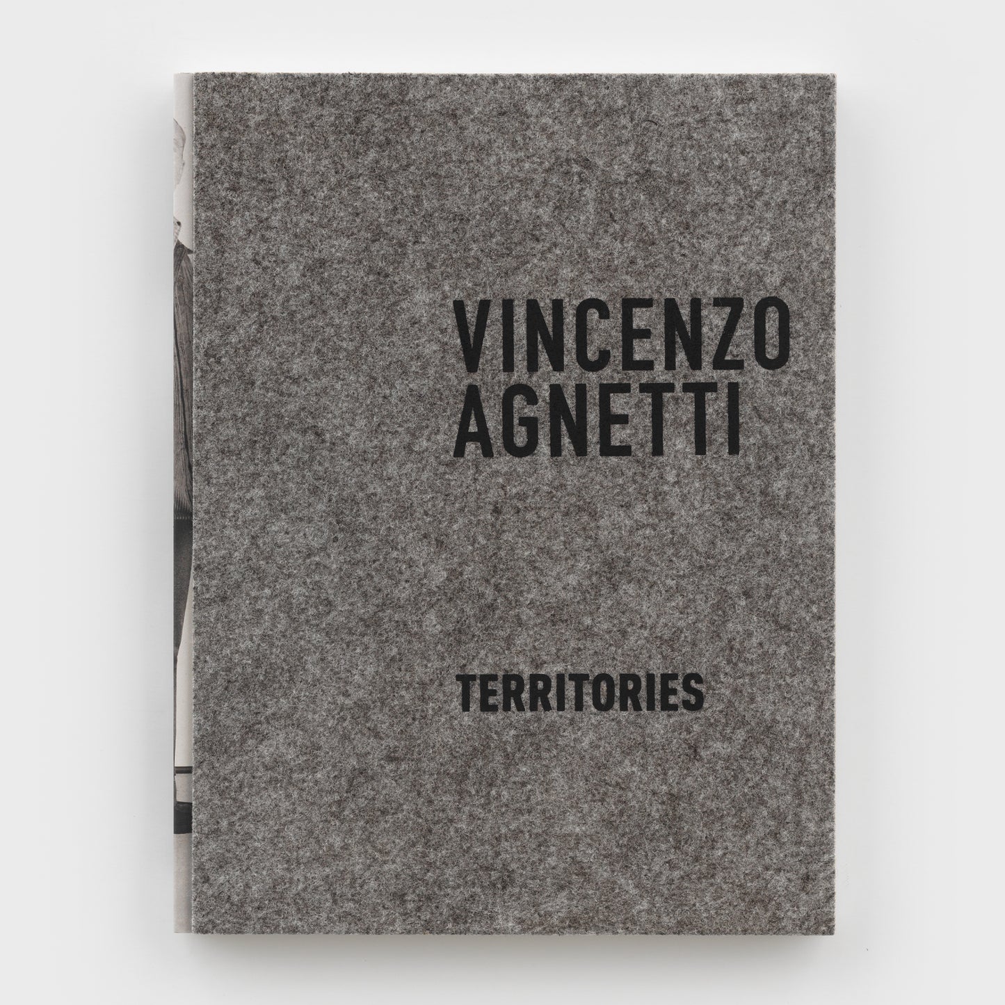 Vincenzo Agnetti: Territories