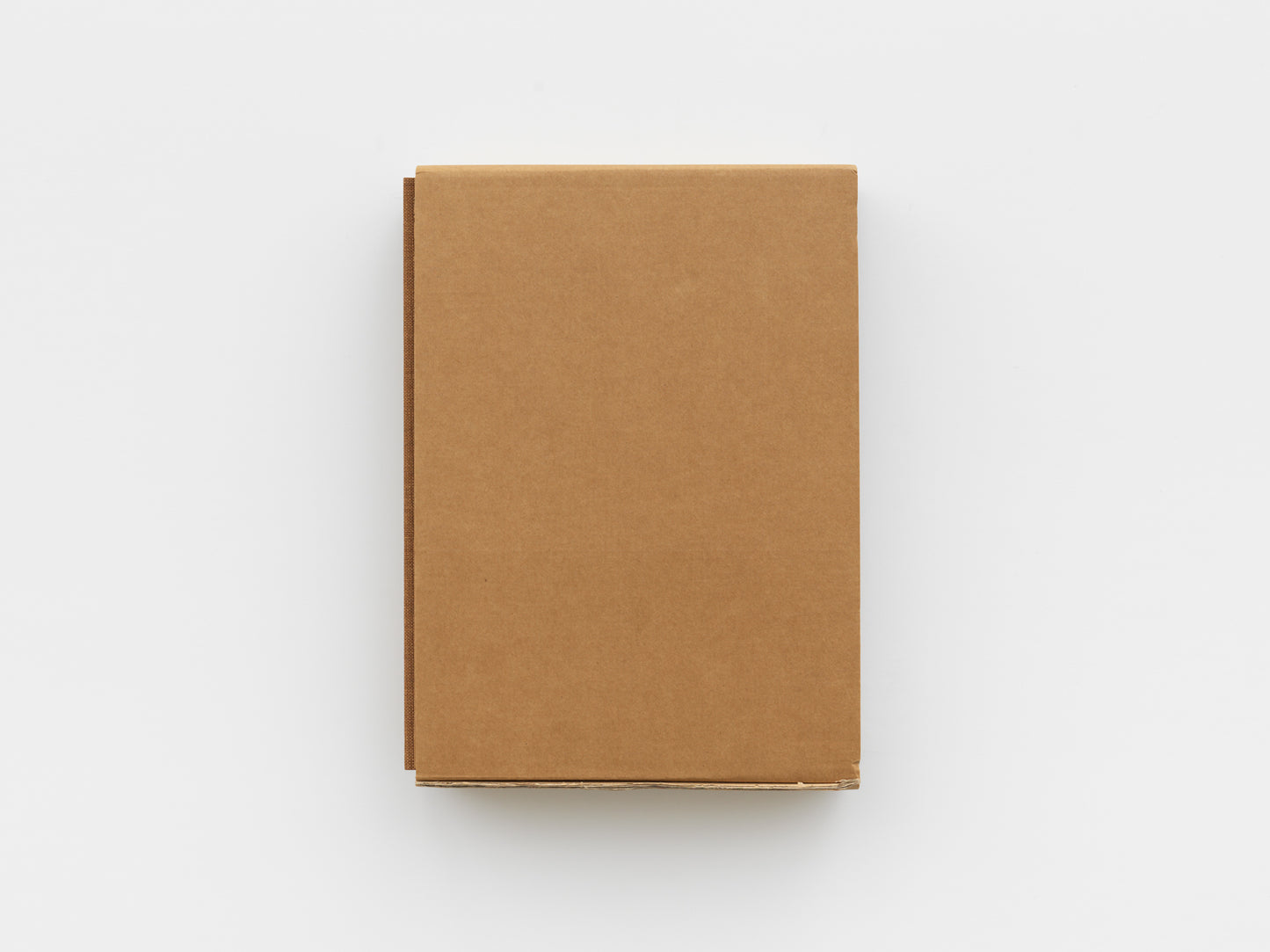 Ileana Sonnabend and Arte Povera