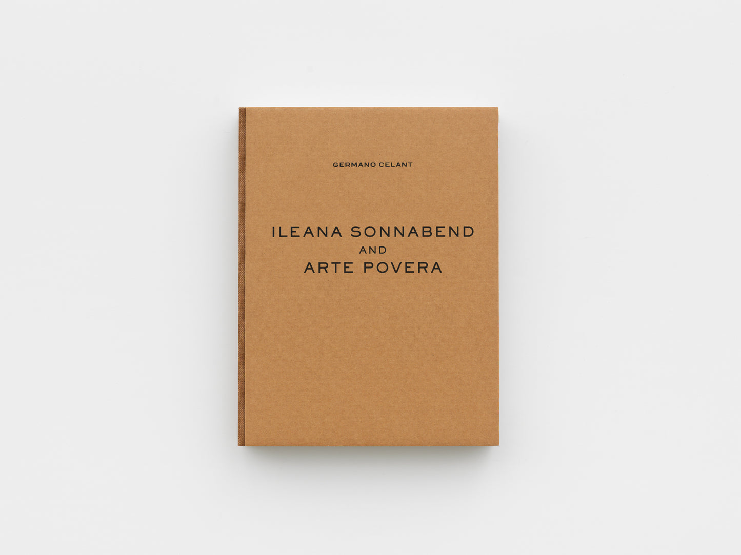 Ileana Sonnabend and Arte Povera